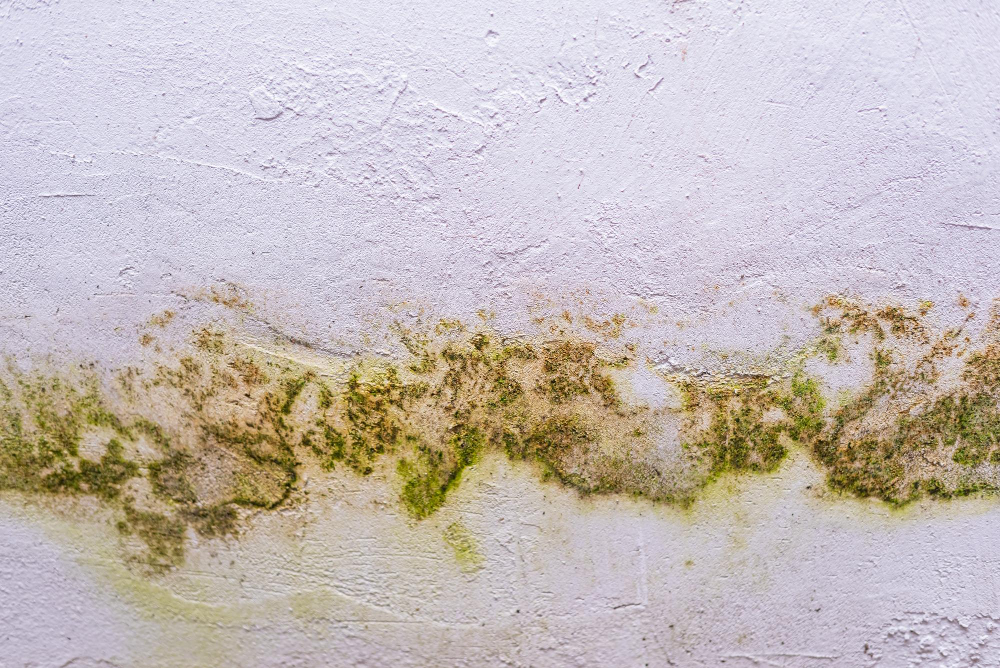 Water damage restoration work in Littleton CO