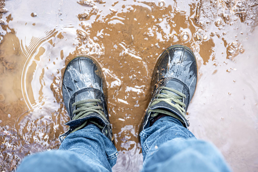 Water damage repair in Littleton CO